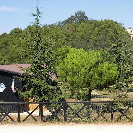 In La Ginestra In *